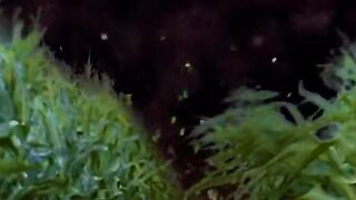 Movie clips 28