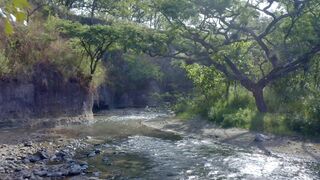 Gliding high above a peaceful landscape, where a stone-filled creek meanders through the open fields.