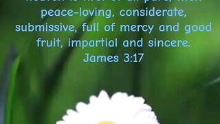 God is good All the time