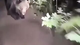 10M Views with this