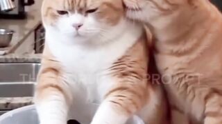 kasihan si oyen kena prank🤣