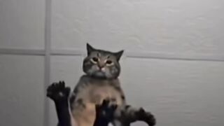 i dare you to watch till the end 😉