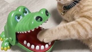 Orange Cat vs Crocodile Dentist Gone Wrong!