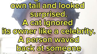 The Funniest Real-Life Jokes of 2026 😂 | Hilarious Quotes That Broke the Internet!