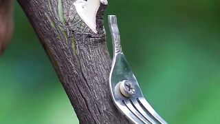 Bamboo Craft 2