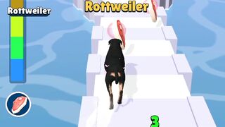Doggy Run Gameplay all levels | Android, iOS mobile | new updates #shorts games !