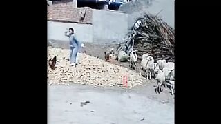 TRY NOT TO LAUGH !!! Best Funny Videos Compilation !!! PART 10