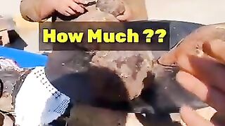 helping hand