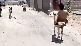 Donkey Race