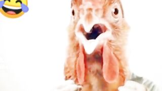 TikTok video