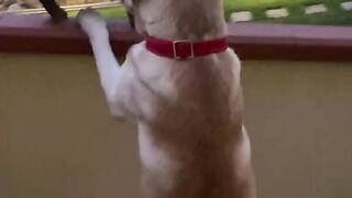 What is he thinking???????