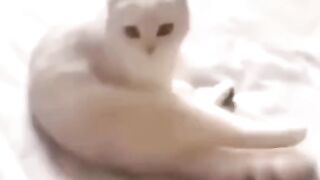 OMG Wee Funny fails!!!!