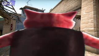 CS-GO Момент Кот в Сапога