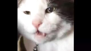 Я ржал до слез