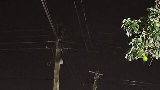 Electric current