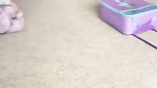 Cute Babies and Pets