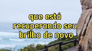 Motivaçaodiaria