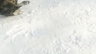 АЛАБАЙ Опасная