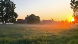 moring natural beauty