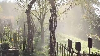 place beauty