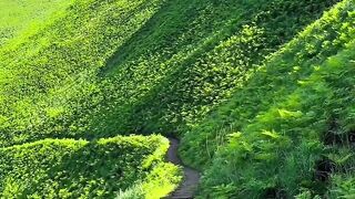 Paradise nature#