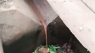 Le Cameroun et l'insalubrité