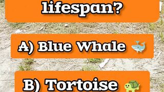 Which animal has the longest lifespan?