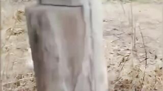 Two armed groups exchanged fire