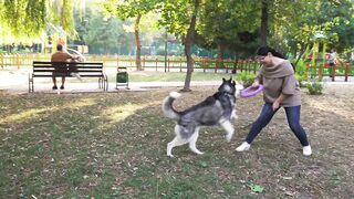 Mon chien 3