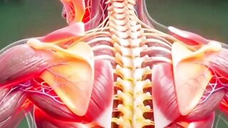 The Worst Sleeping Positions for Your Spine 😱 | 3D Anatomy Explained