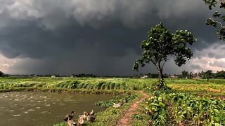 আকাশ ভেঙে বৃষ্টি নামার মুহূর্তের সৌন্দর্য। 🌧️⛈️