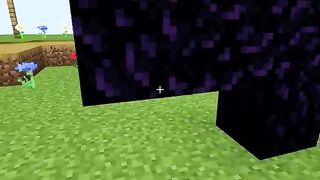 Minecraft 56
