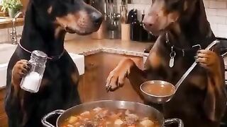 Dog adding salt