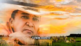 Lindo día