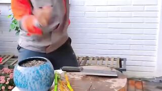 DIY experience
