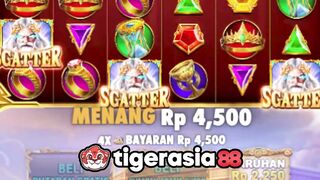 Super Scatter Olympus suka ngasih bree