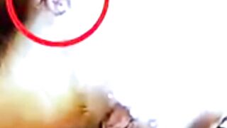 Mother Squirrel's Amazing Birth Journey 🐿️