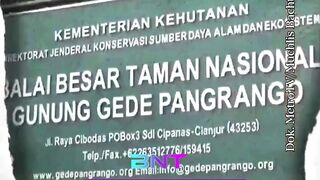 Modal Alat Seadanya, Petugas dan Relawan Sukses Jinakkan Kebakaran di Alun-Alun Suryakencana Gunung Gede! 🌋🚒