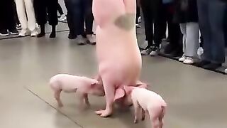 Holiday dance