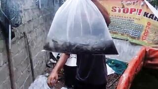 Proses Unboxing Bibit Lele baru