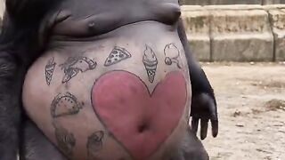 Wait… Why Does This Gorilla Have a Heart Tattoo? 😳🦍❤️