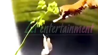 Tricks 8