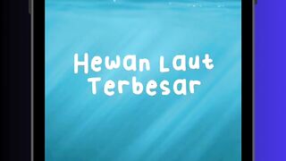 Hewan Laut Terbesar di Dunia! 🐋🌊