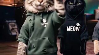 Cat dance trend