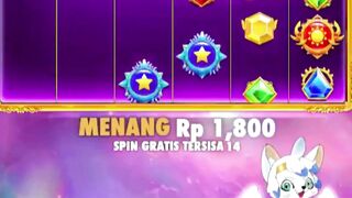 7meter 493