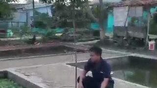Cara ngurus bibit lele sortiran terakhir agar cepat besar