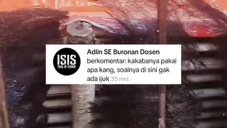Pemijahan lele jadi lebih mudah dengan alat ini
