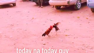 😂😅🤣Today na today🤩