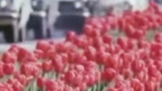 Ностальгия по СССР