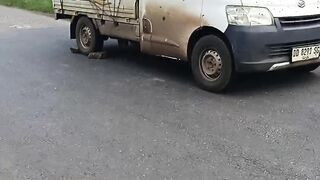 Mobil 11